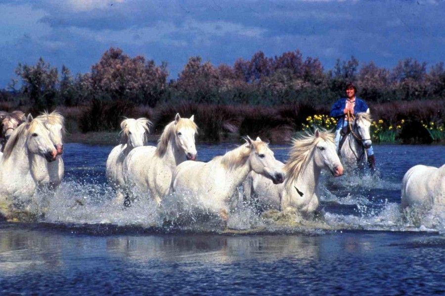 provenza-Camargue