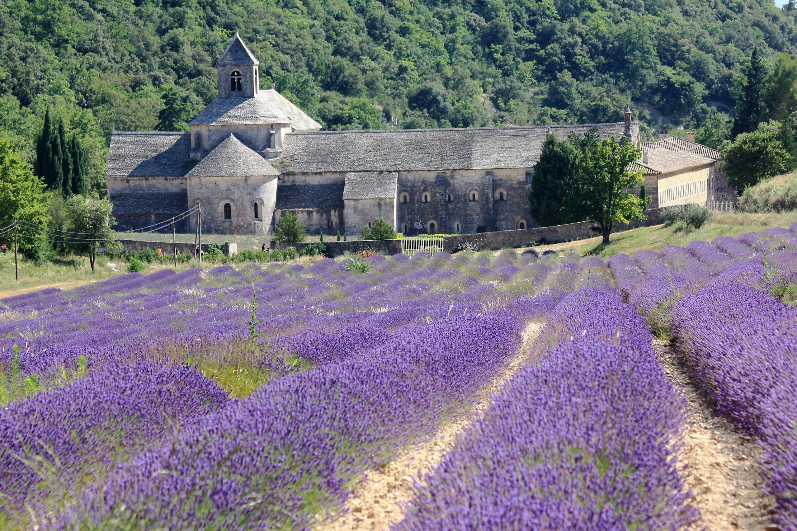 Cosa visitare in Provenza nel vostro viaggio on the road