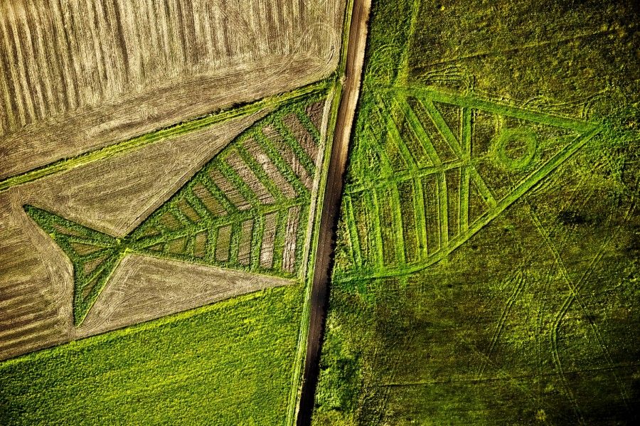 epa02877927 An aerial view shows the land art installation by Polish artist Jaroslaw Koziara as a part of the Land Art Festival on the field between Horodyszcze (Poland) and Warez (Ukraine), 23 August 2011. The giant fish was created by seedding different kind of plants on the field between the Polish and Ukrainian border. It in symbolic and physical ways crosses Schengen area towards Ukraine. The art of land is an artistic act to show that nature and culture are beyond borders established by man.  EPA/WOJCIECH PACEWICZ POLAND OUT