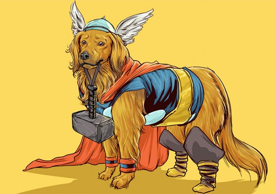 thor as a golden retriever