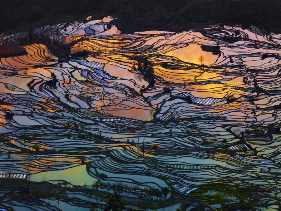 THE 2015 ABSTRACT AWARD: THIERRY BORNIER 