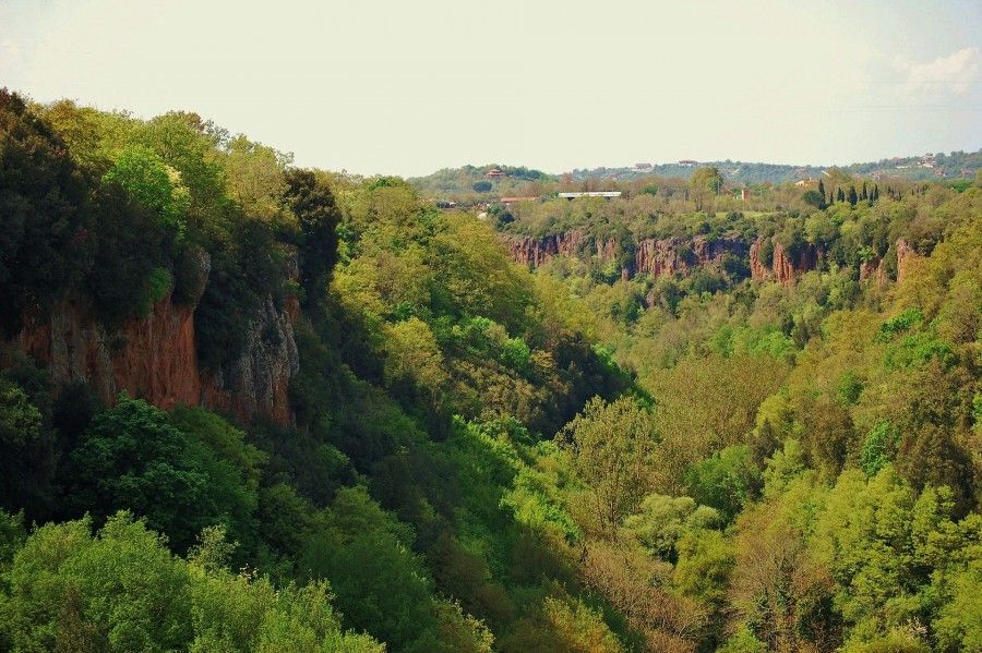 8 Valloni_allinterno_del_Parco_Regionale_Marturanum_di_Barbarano_Romano_-_VT