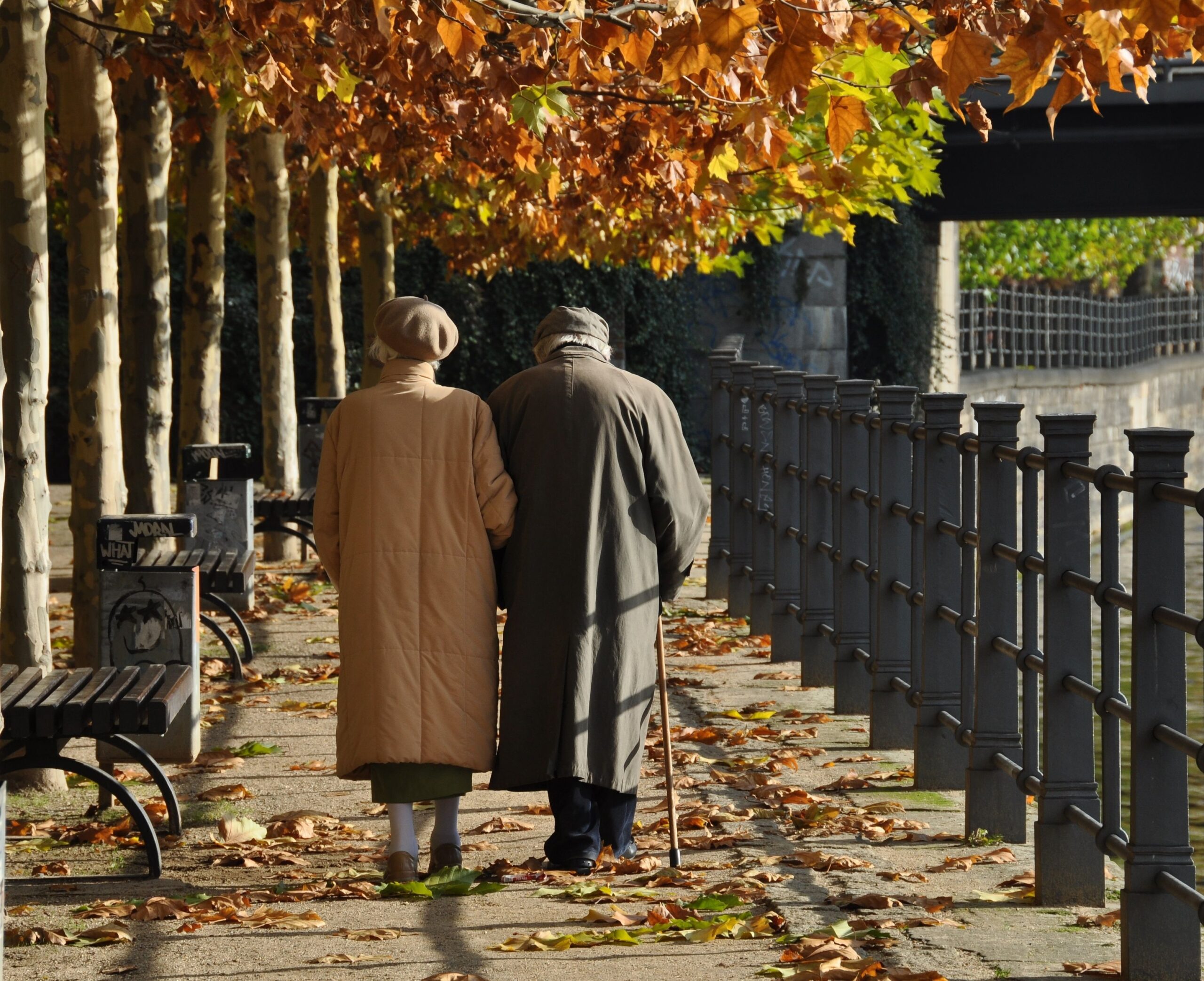 Elderly Couple Walking Outdoors In The Morning Picture And HD Photos ...