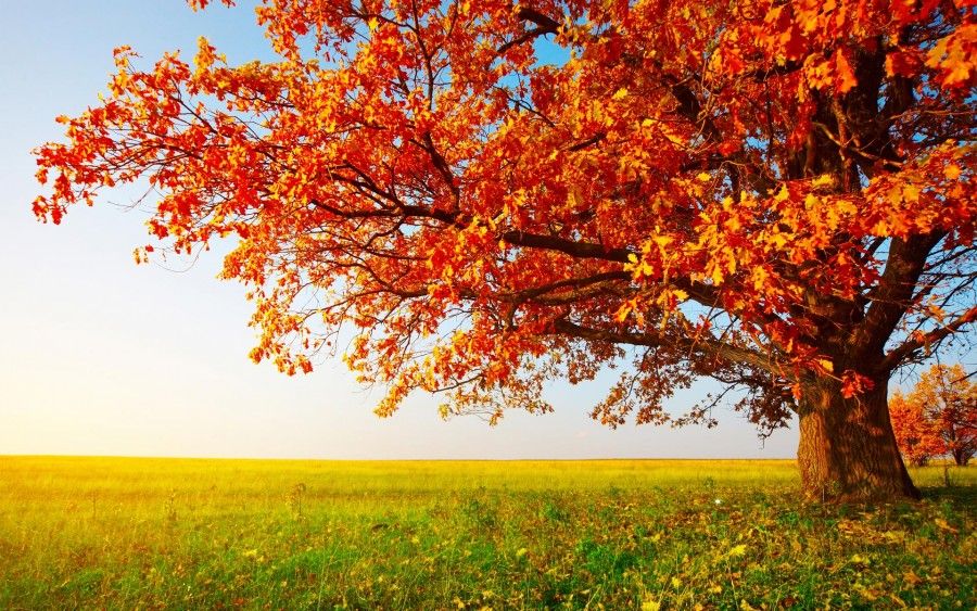 autunno3