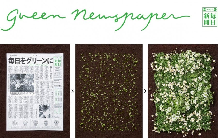 green-newspaper4