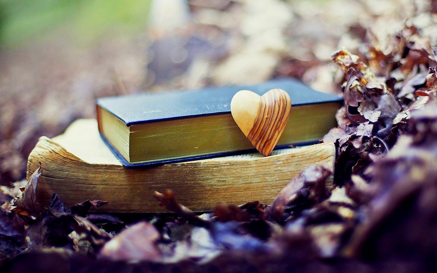 #Libri di settembre: le migliori letture per il ritorno alla quotidianità