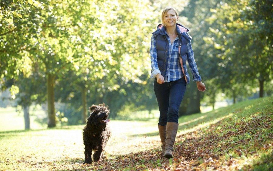 woman walking her black dog in the park on a sunny day