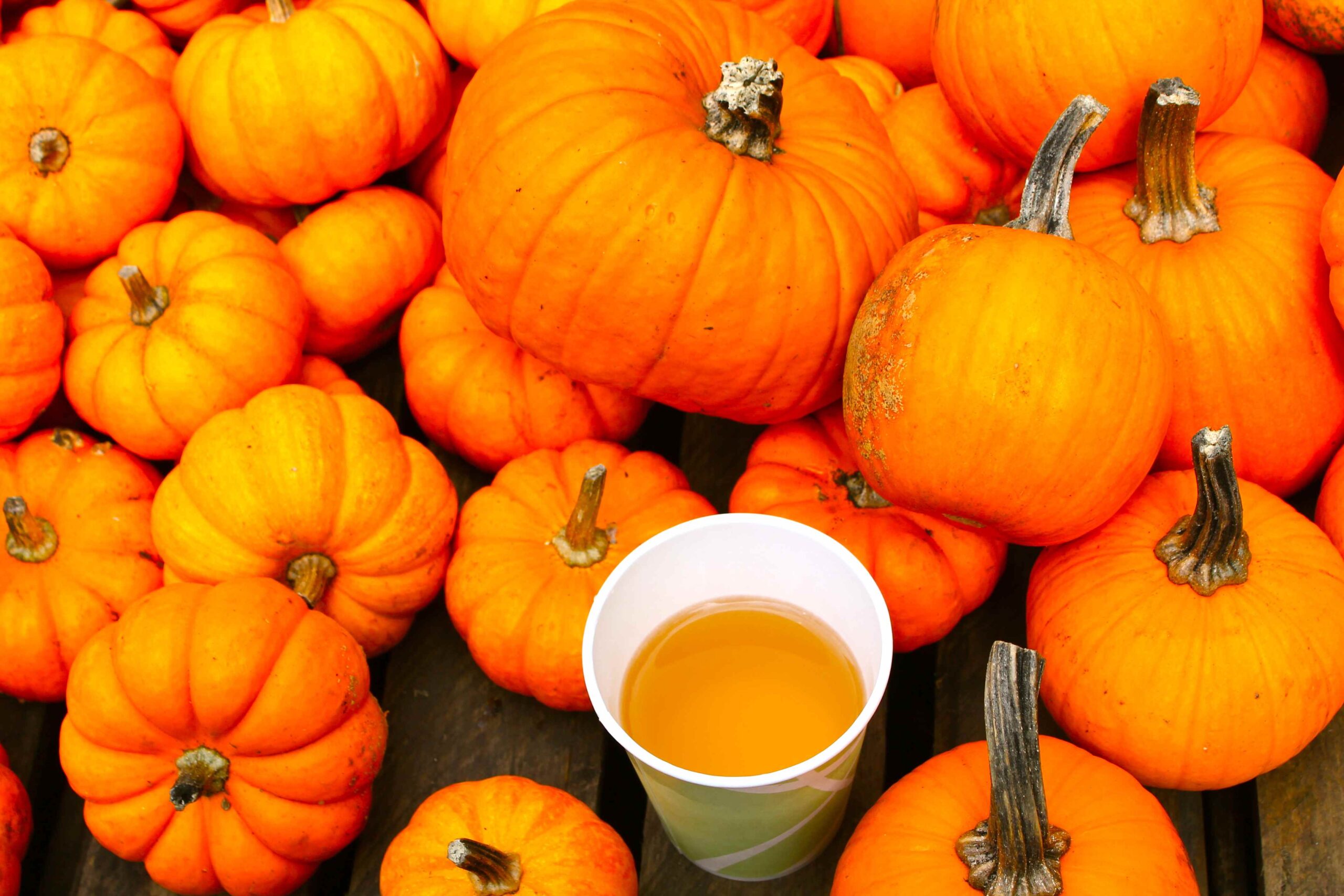 Come si conserva la zucca