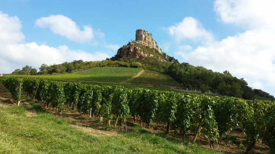 weekend autunno in Francia: le strade del vino