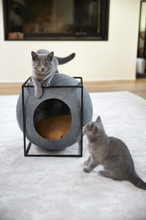 Meyou-classycatfurniture-12