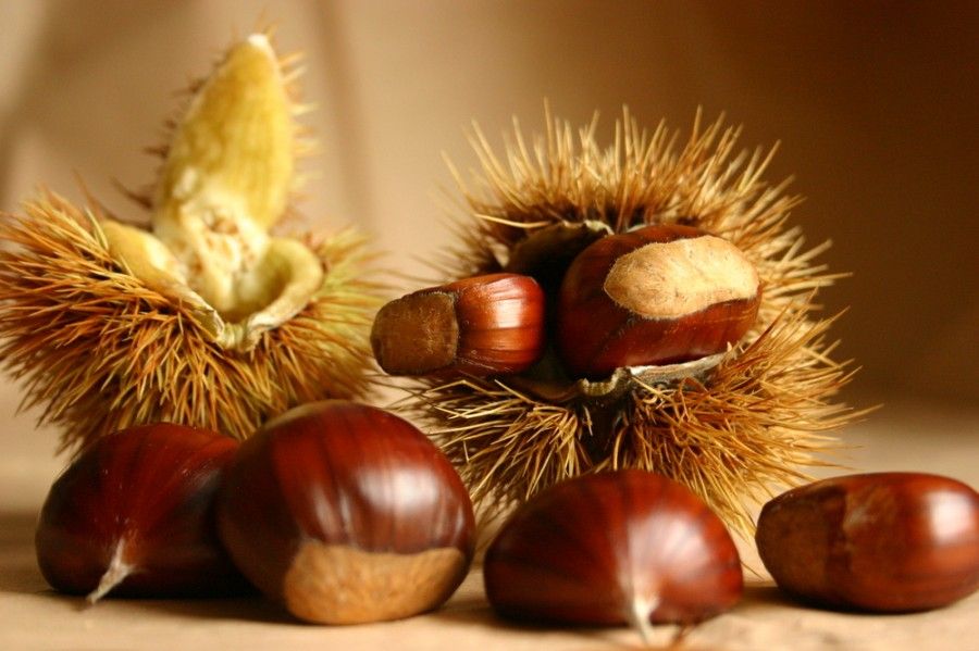 castagne2