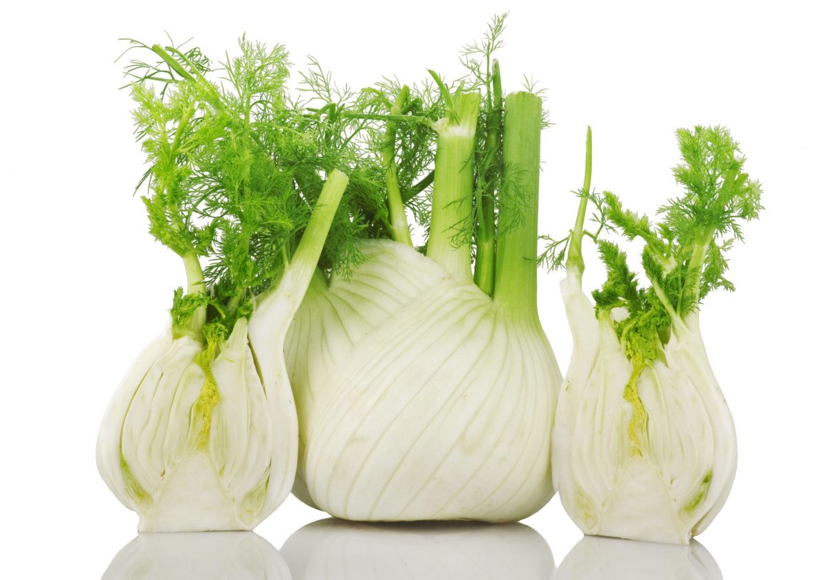 Cos’è la dieta del finocchio