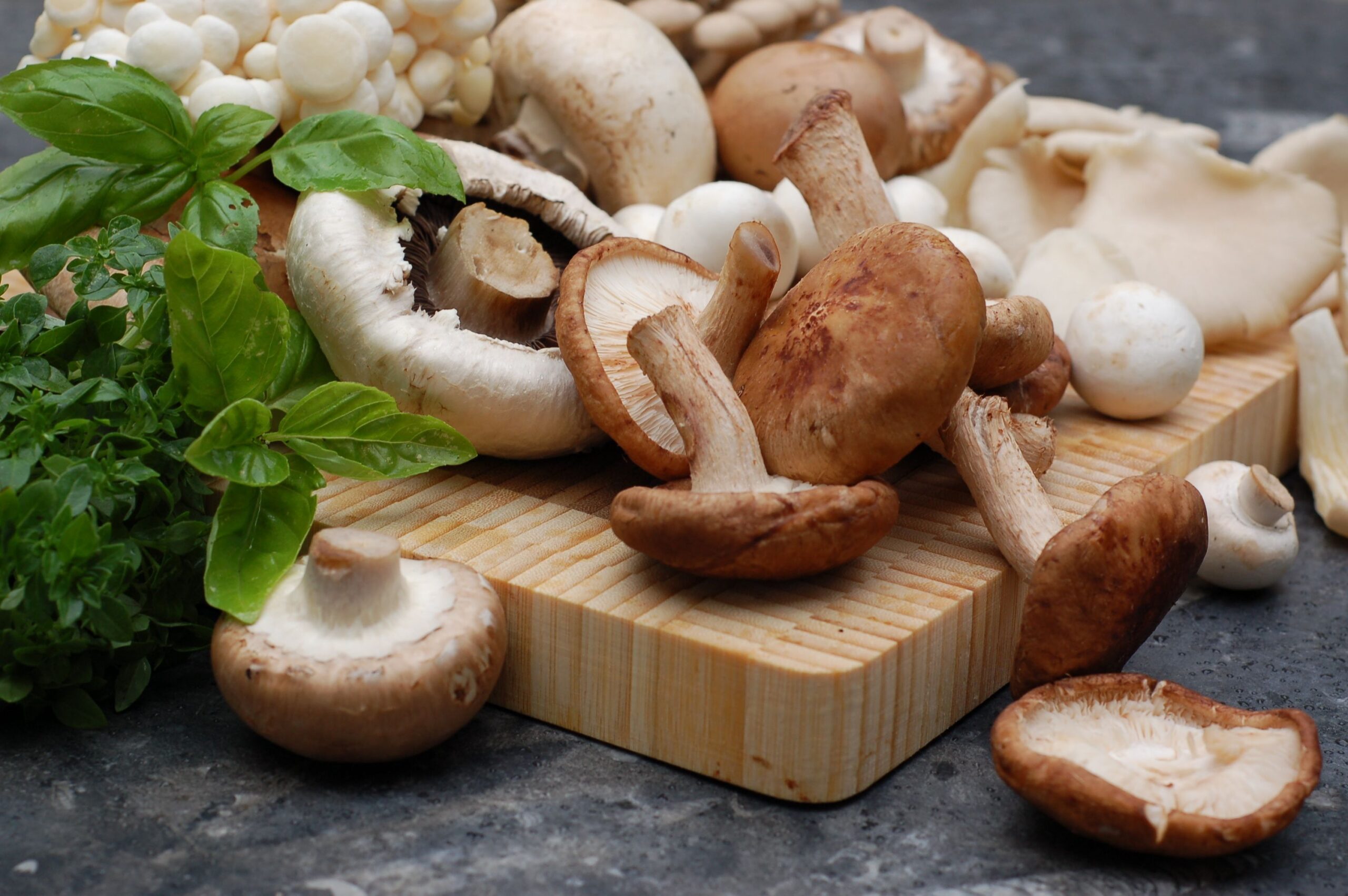 Tutti i modi per cucinare i funghi