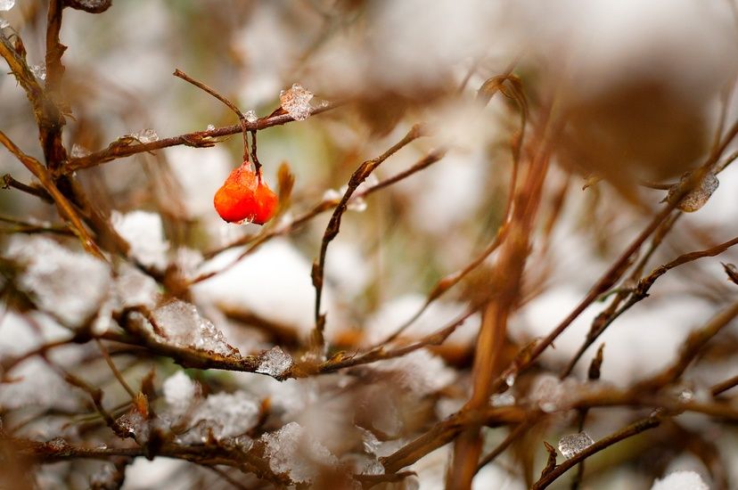 10 cose da fare in giardino in autunno