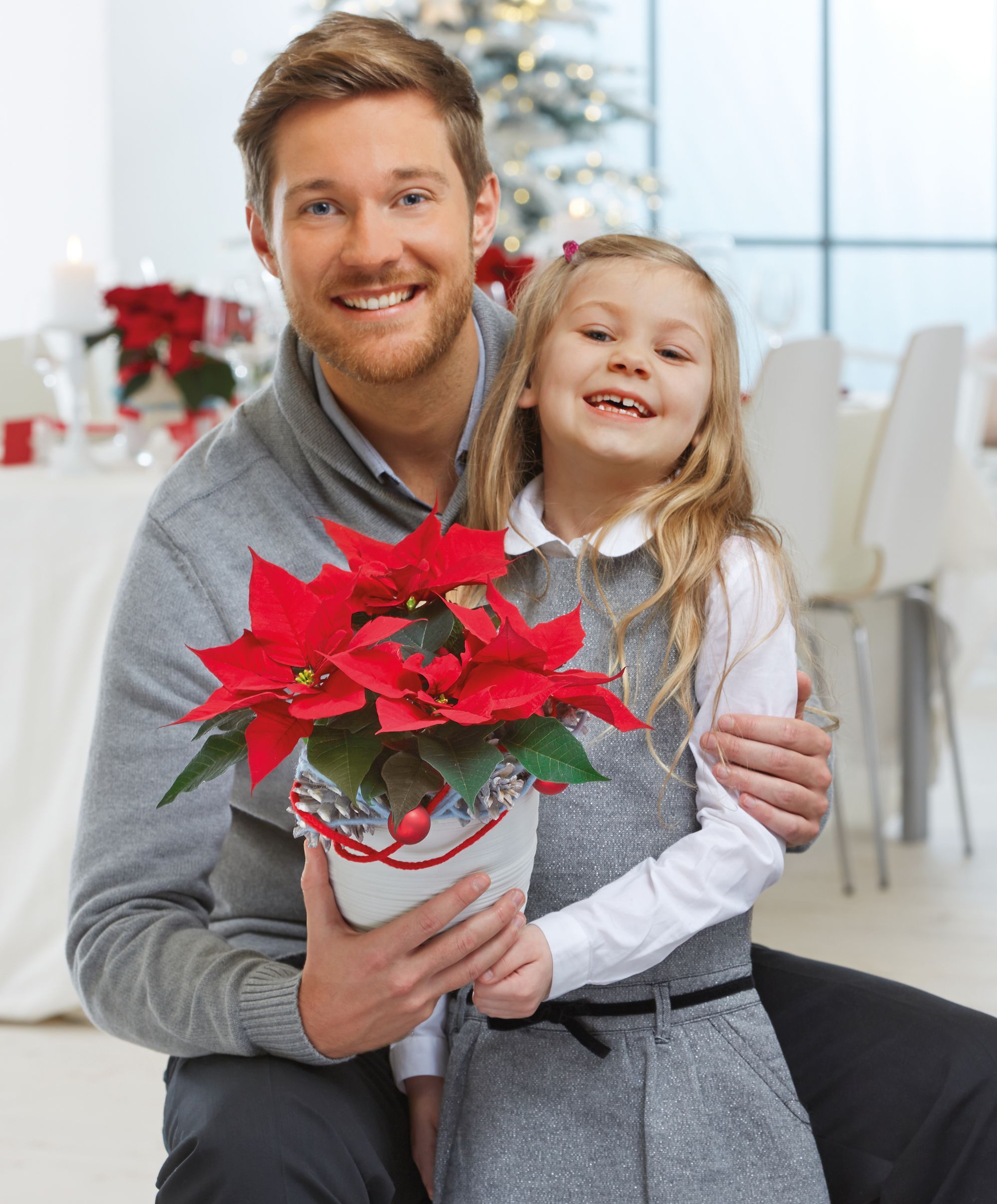 2015-poinsettia-famiglia-02-it