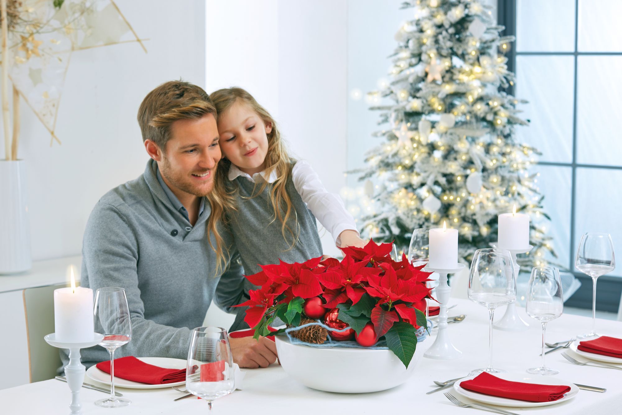 Cure Per La Stella Di Natale.5 Regole Per Prendersi Cura Della Stella Di Natale Bigodino