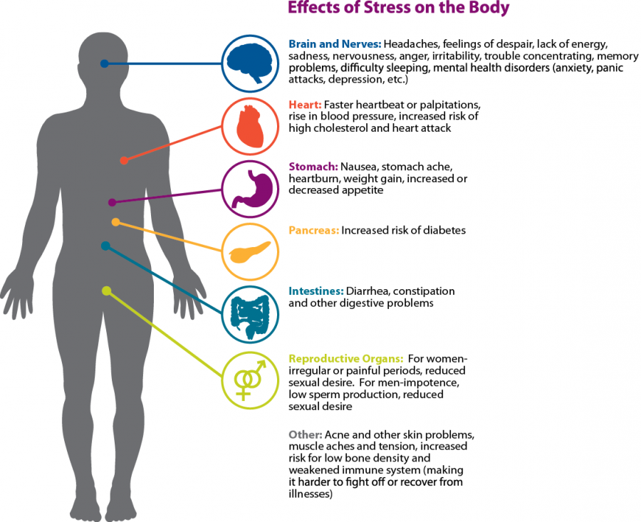 stress-e-corpo