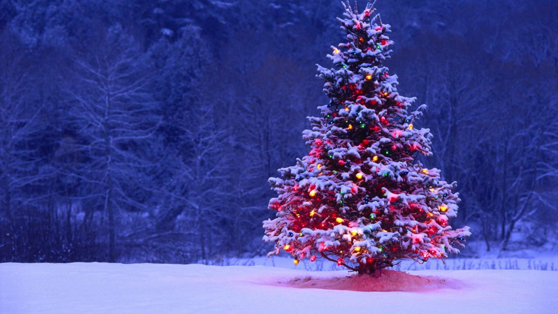 8 meravigliose decorazioni di Natale per esterni