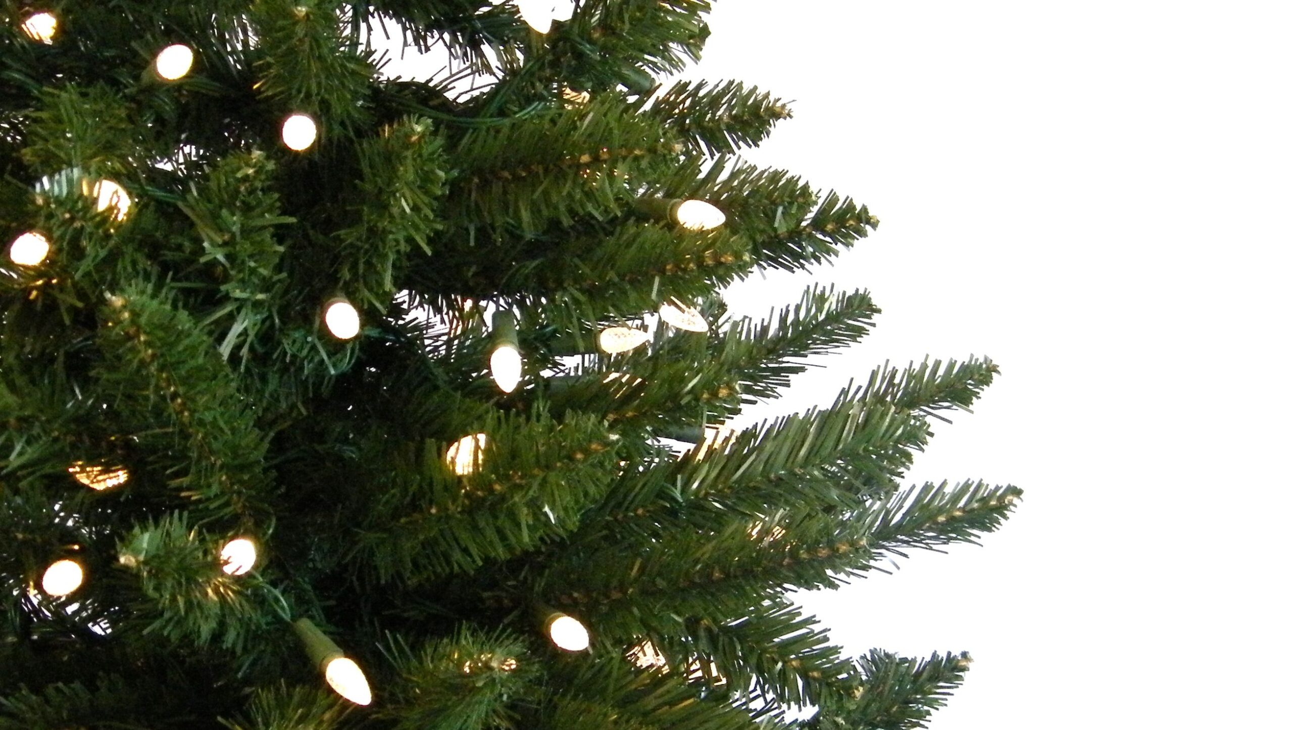 E’ meglio un albero di Natale vero o finto?