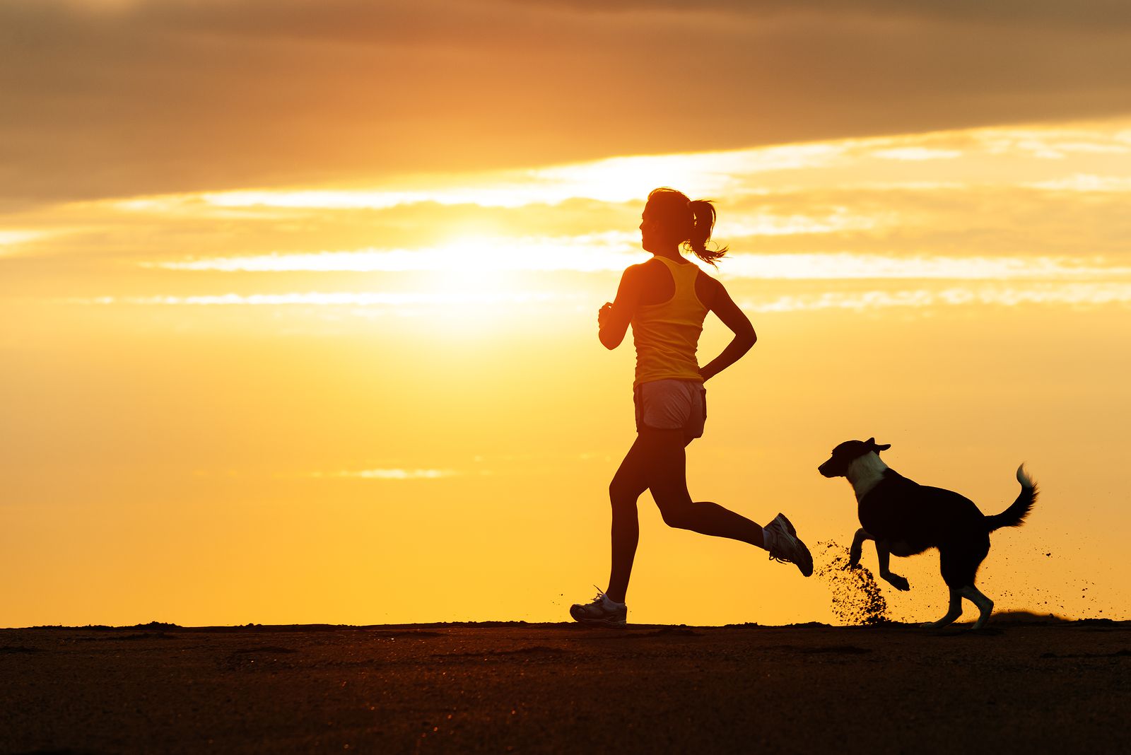 5 consigli per correre con il cane