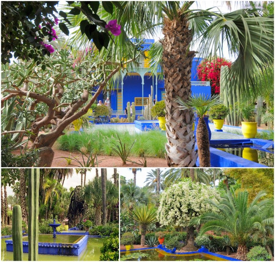 majorelle