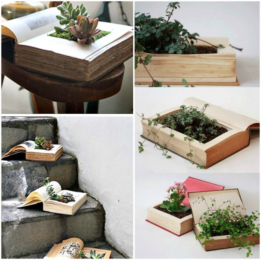 Diy piante come vasi per piante