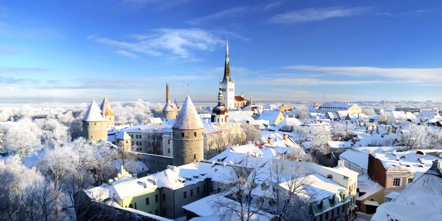 Tallinn city. Estonia. Snow on trees in winter, panoram view