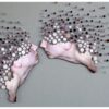 micaela-lattanzio-fragmenta