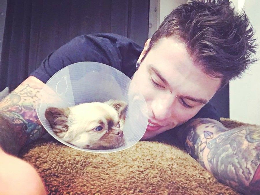 cagnolino fedez