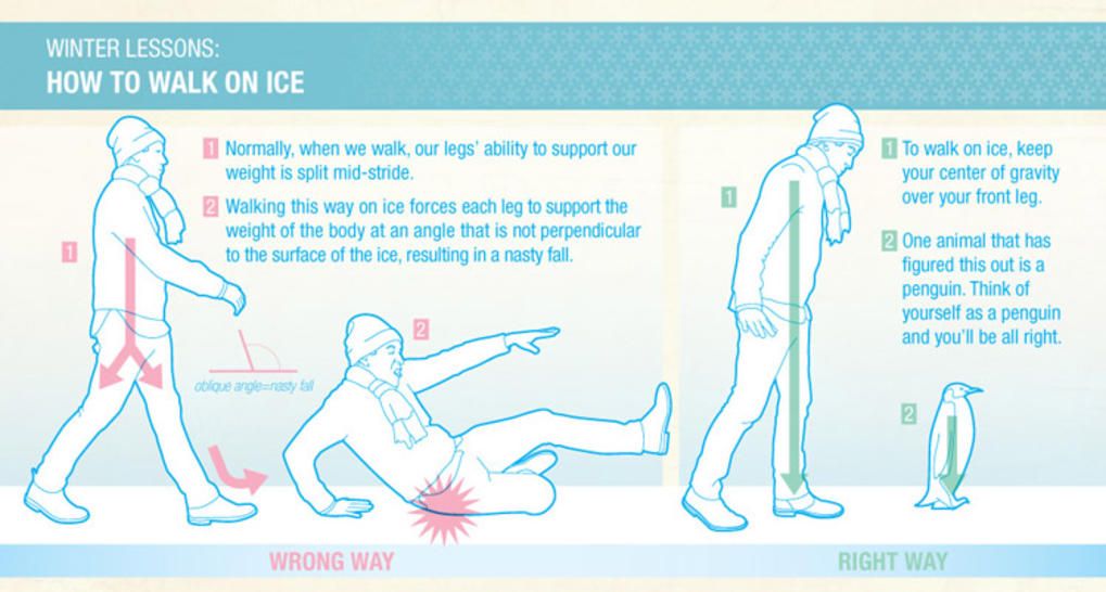 camminare-sul-ghiaccio-pinguino1