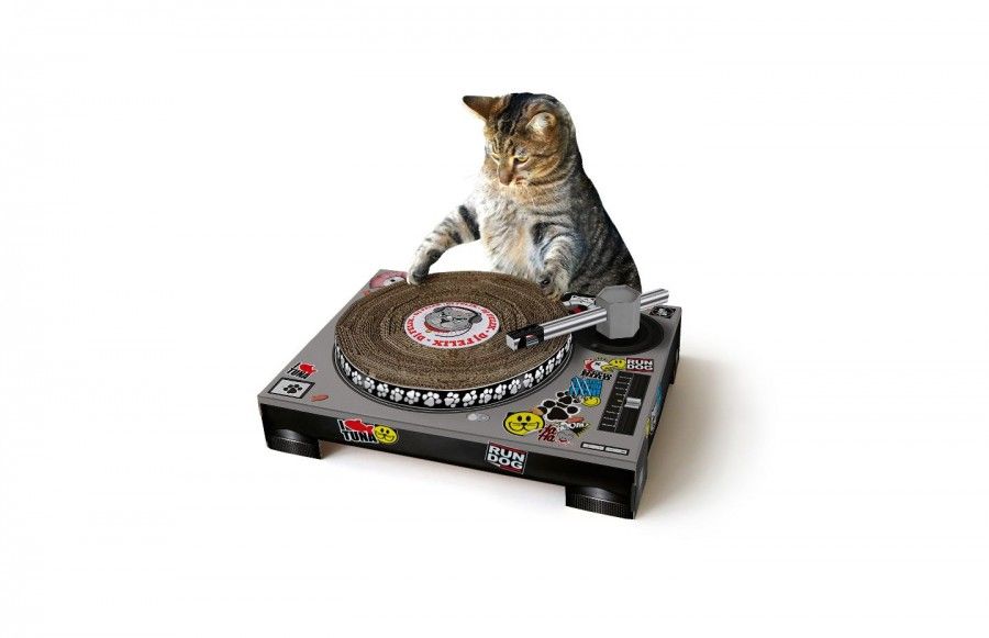 cat-dj-turntable-scratch-deck