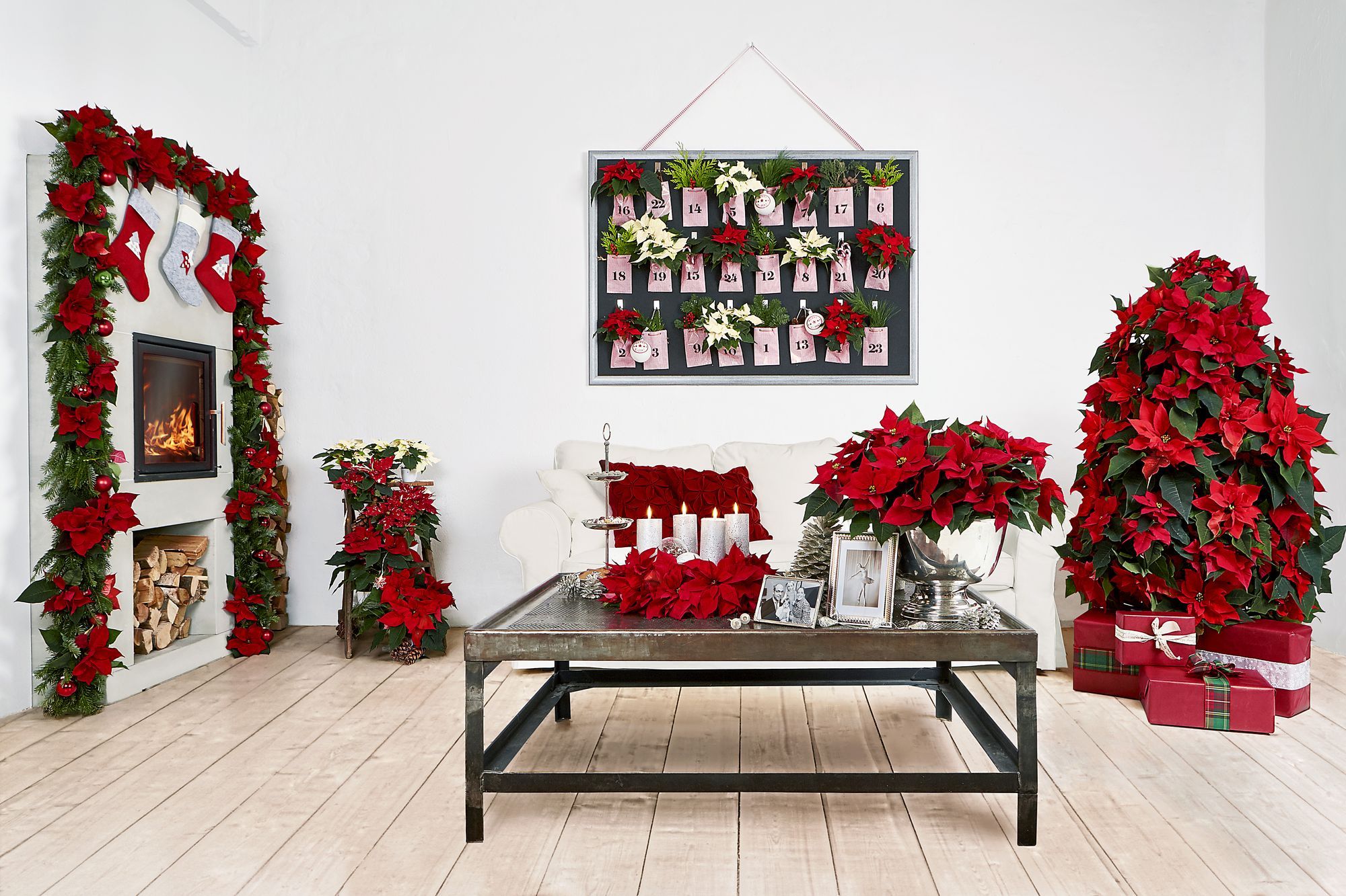 5 idee per decorare casa con la stella di Natale
