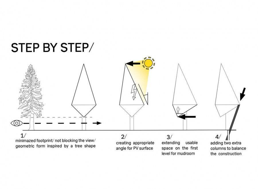 Step-by-step, Primeval Symbiosis