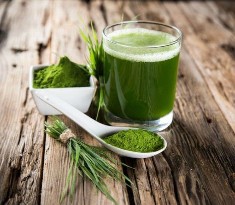 moringa