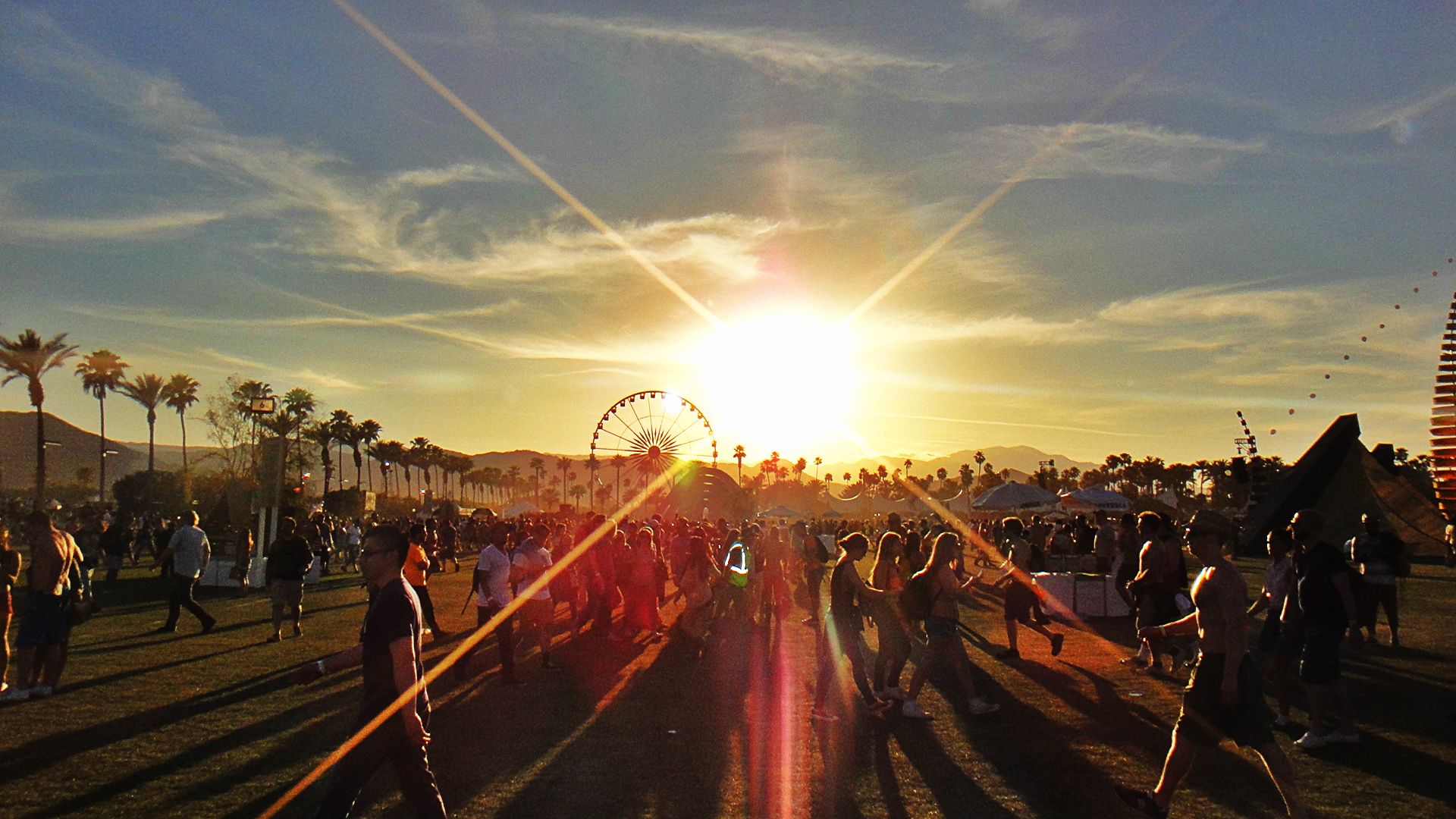 Coachella Festival2