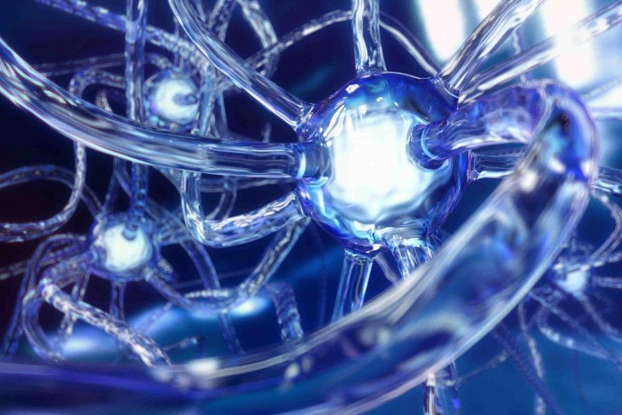 Brain neurons made of glass