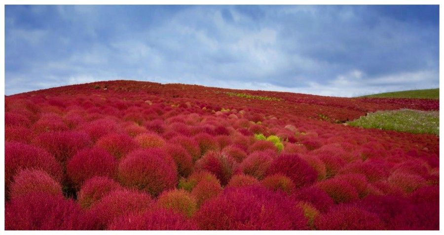 hitachi-park