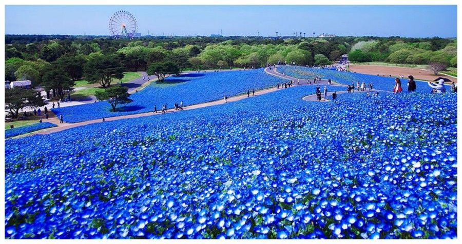hitachi-park