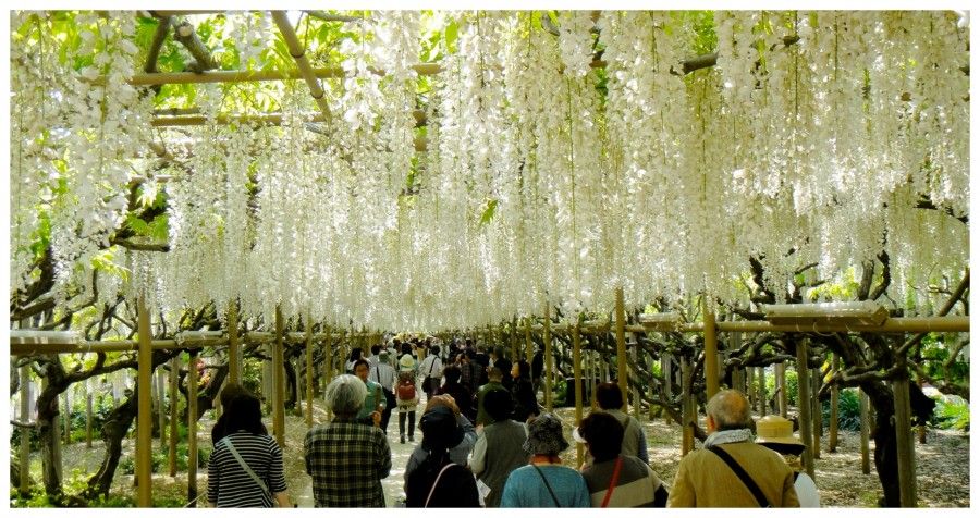 hitachi-park