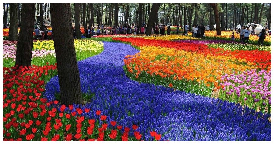 hitachi-park