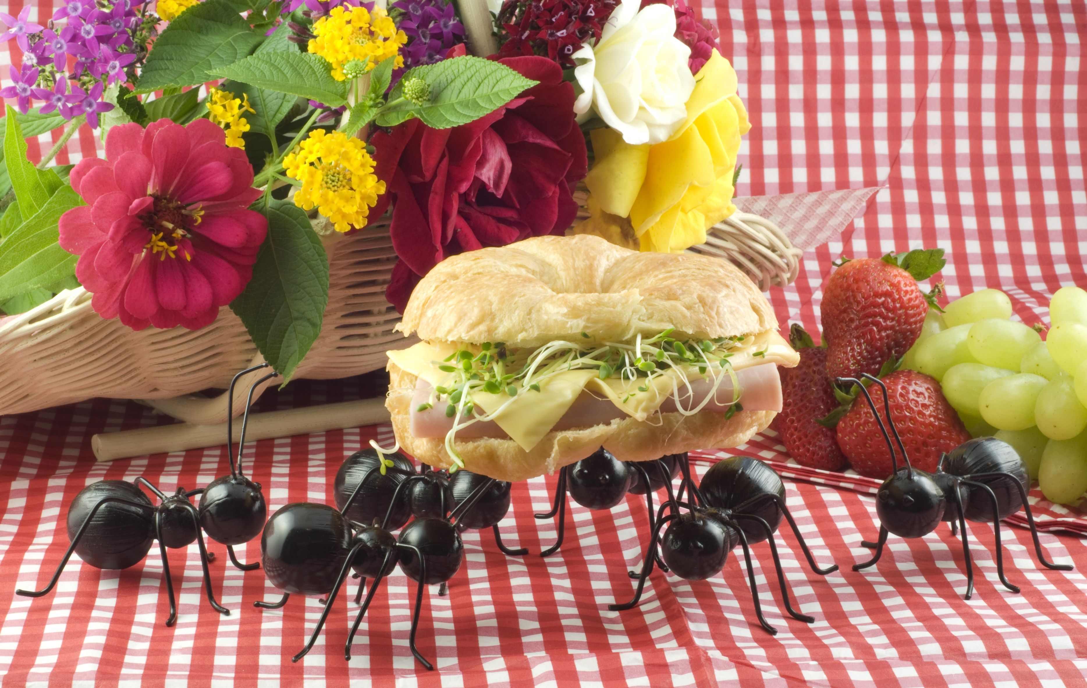 A group of ants invading a picnic and carrying a sandwich, concept, vertical with copy space