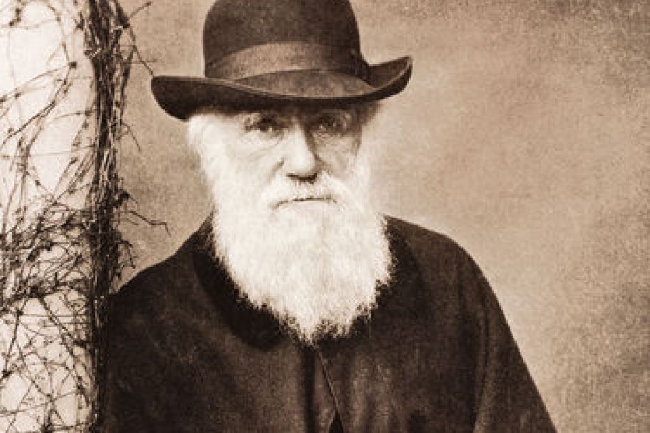 charles-darwin1