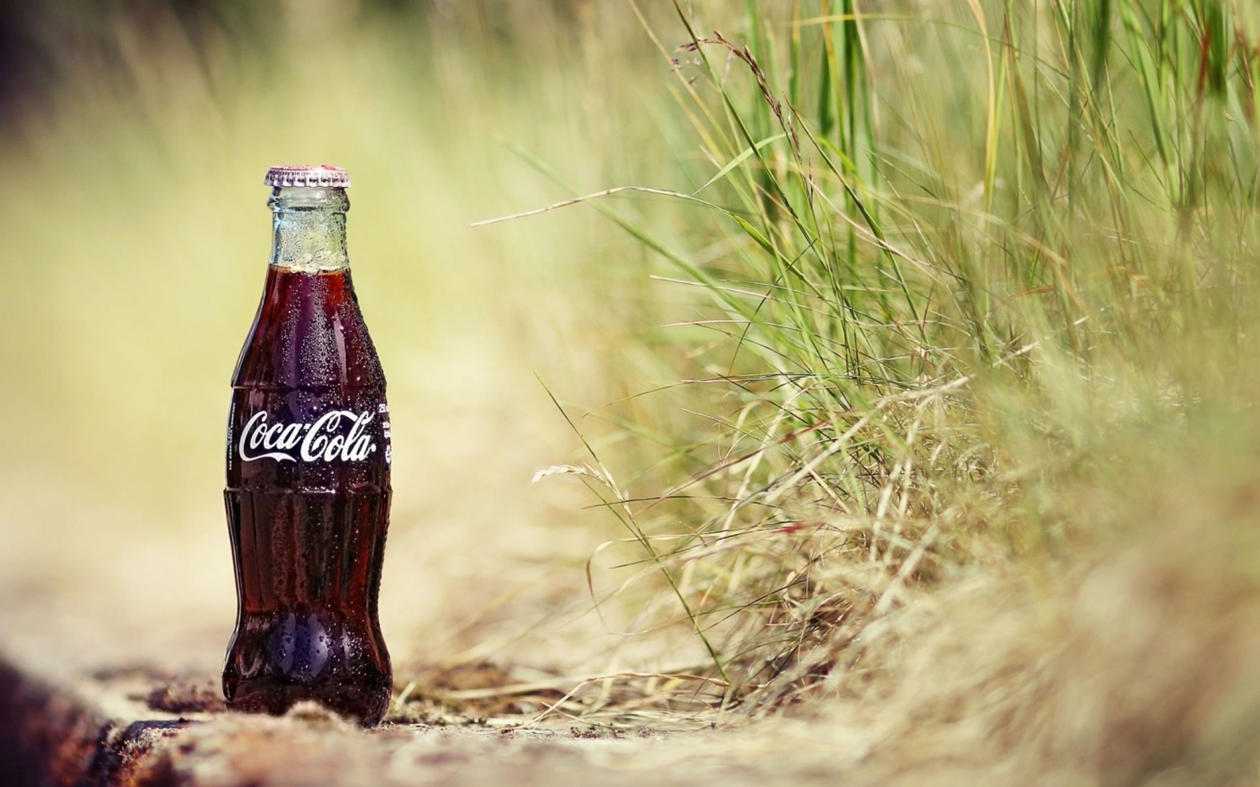 La Coca Cola life è meno dannosa per l’organismo davvero?