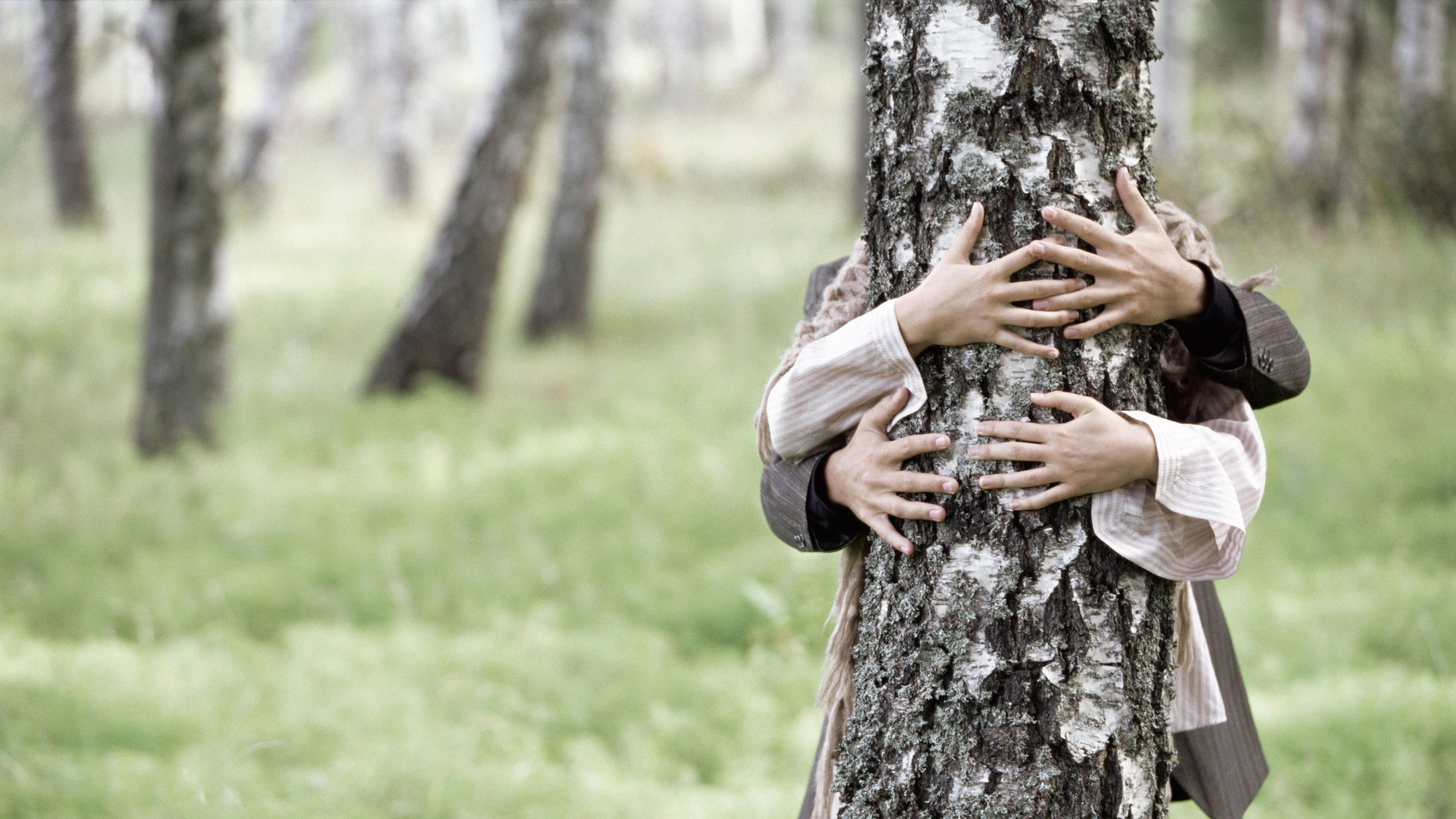 san-valentino-albero2