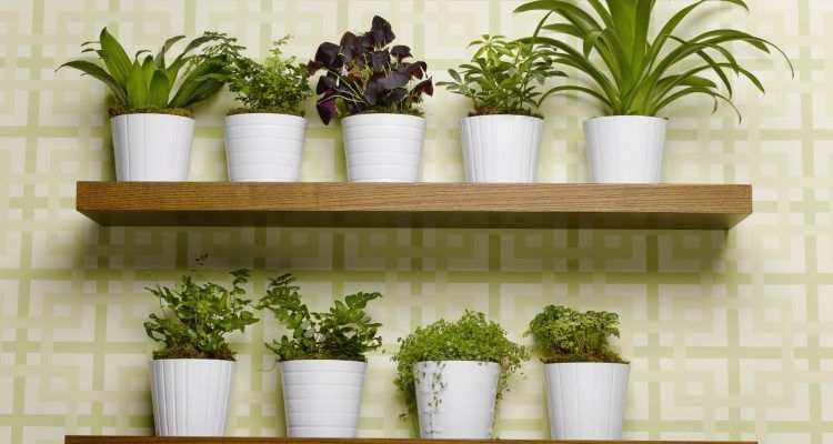 Sgabelli Per Piante Ikea : Soluzioni ikea per arredare casa con le piante bigodino
