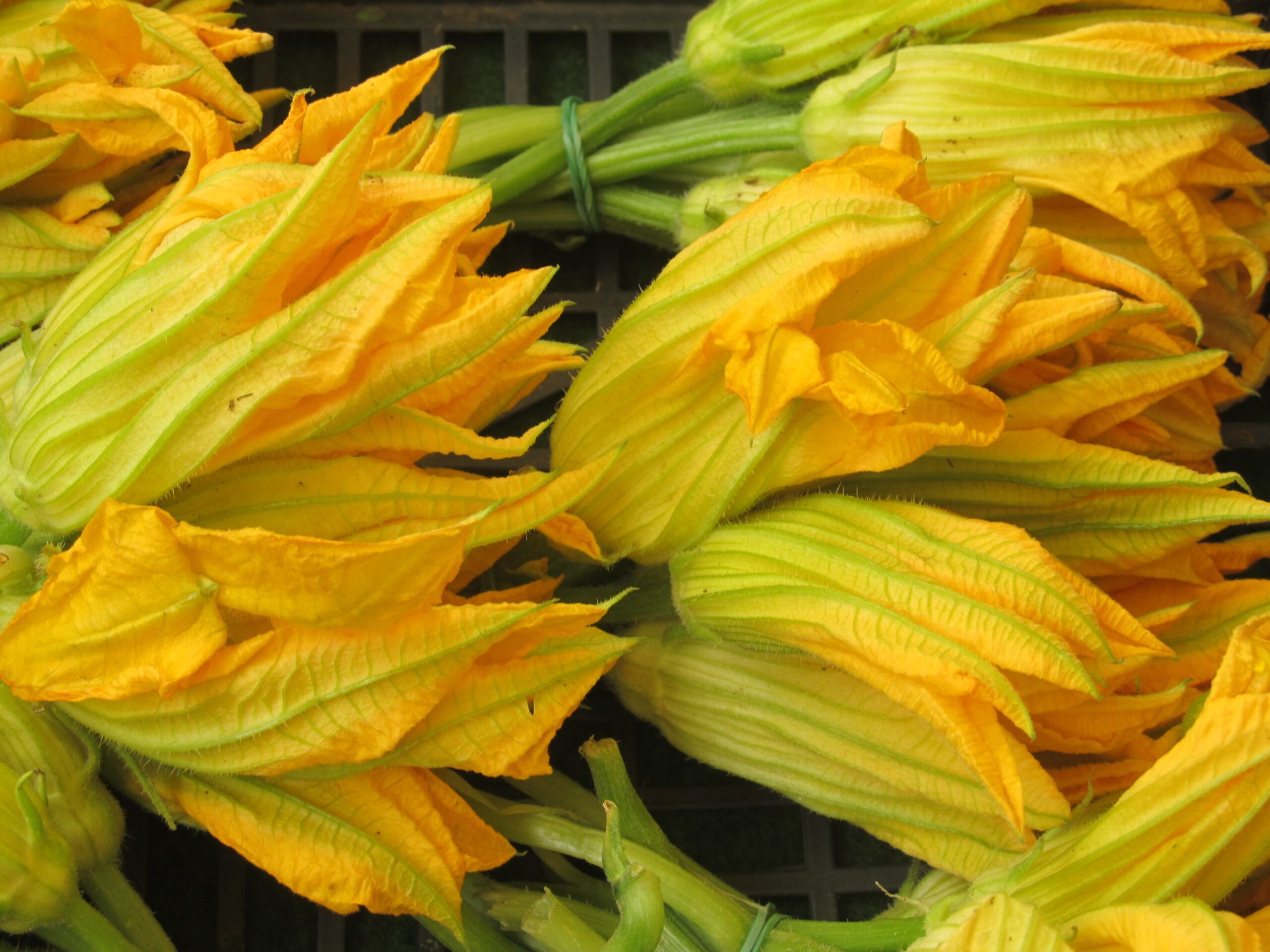 Come pulire i fiori di zucca correttamente