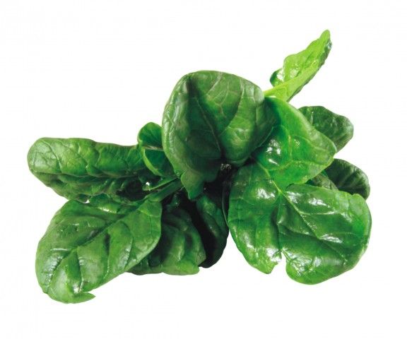 Spinaci