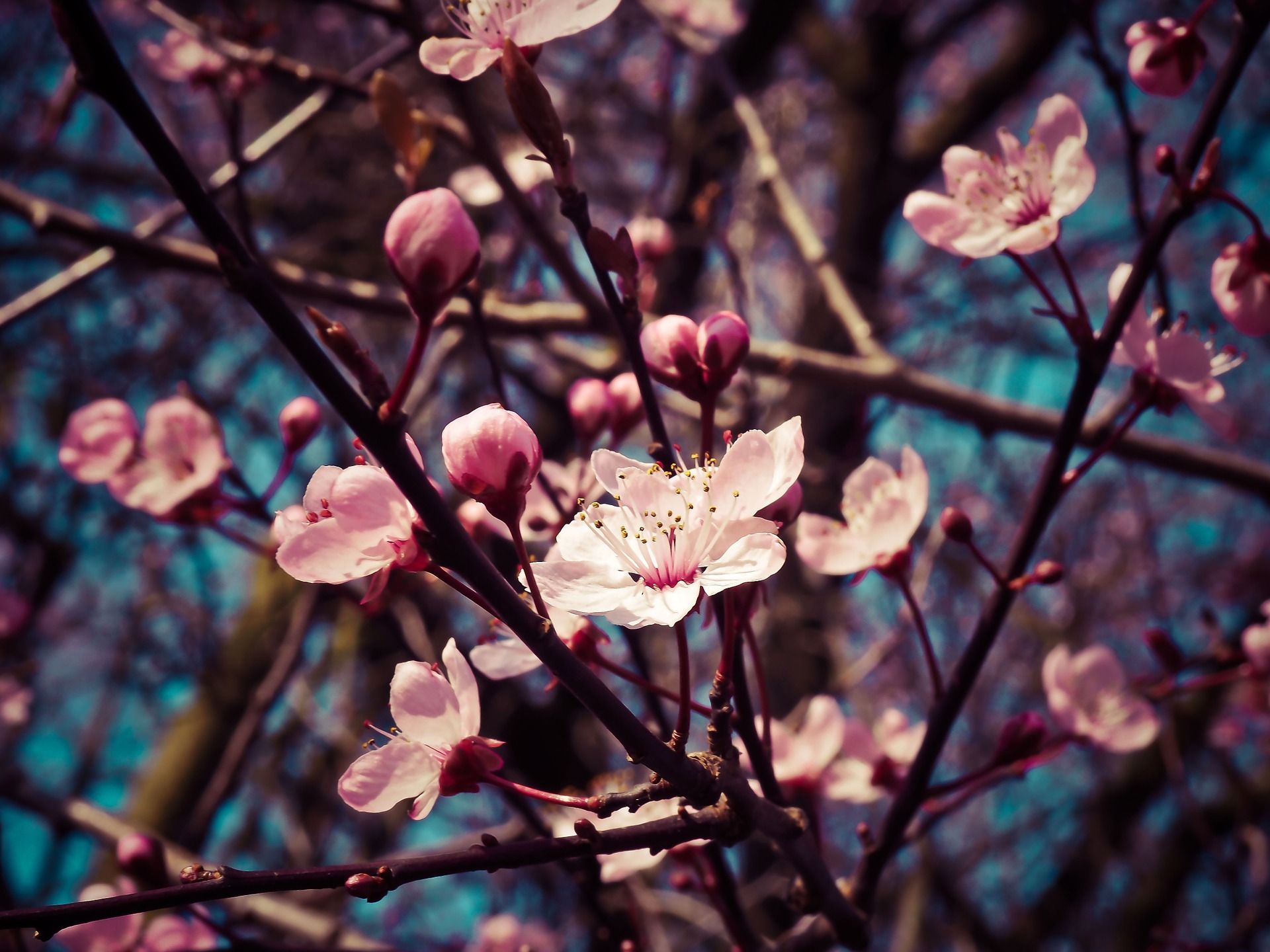 21 marzo: 10 canzoni che fanno sentire la primavera