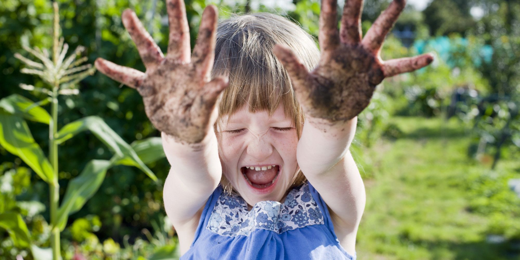 6 falsi miti sul giardinaggio da sfatare