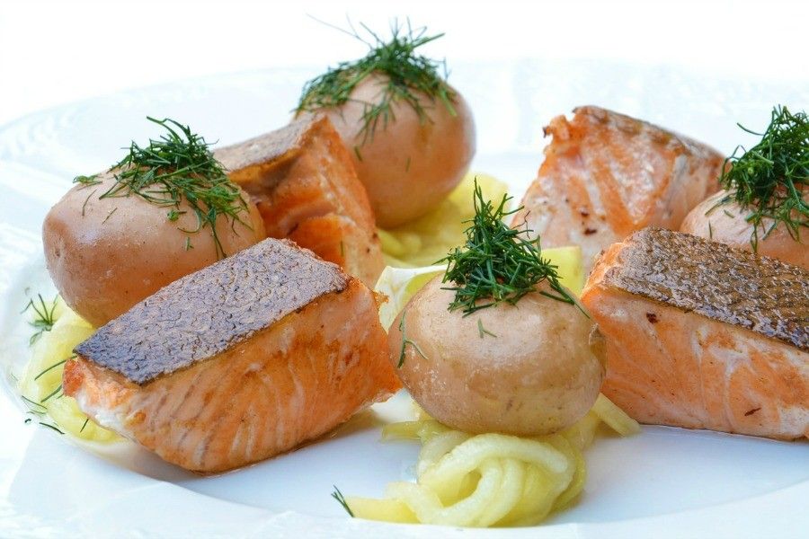 salmone